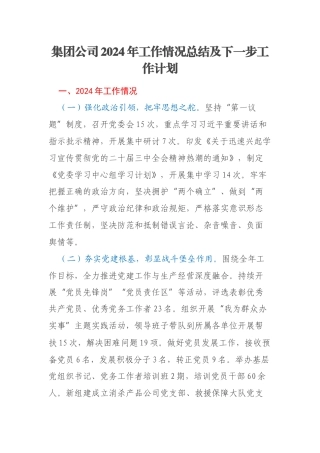 集团公司2024年工作情况总结及下一步工作计划