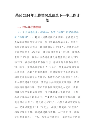 某区2024年工作情况总结及下一步工作计划