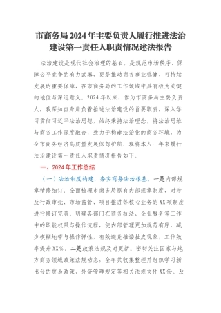 市商务局2024年主要负责人履行推进法治建设第一责任人职责情况述法报告