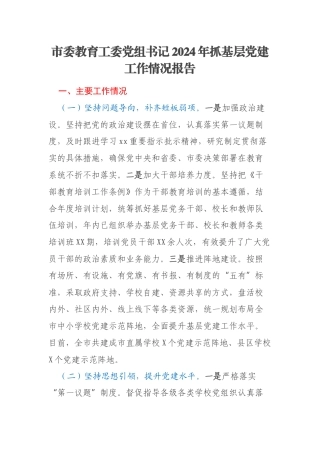 市委教育工委党组书记2024年抓基层党建工作情况报告