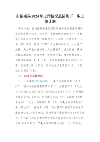 市招商局2024年工作情况总结及下一步工作计划