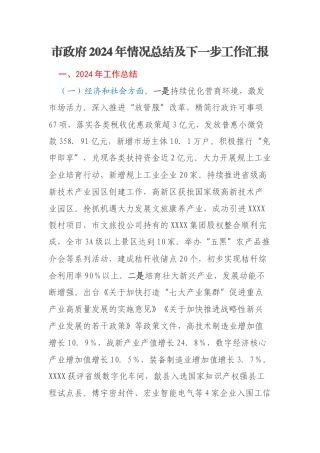 市政府2024年情况总结及下一步工作汇报