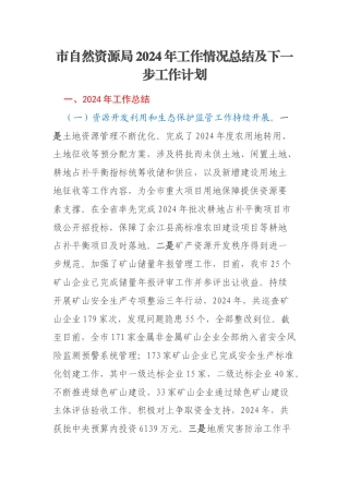 市自然资源局2024年工作情况总结及下一步工作计划