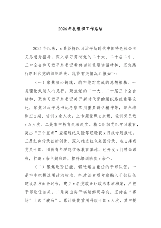 2024年县组织工作总结