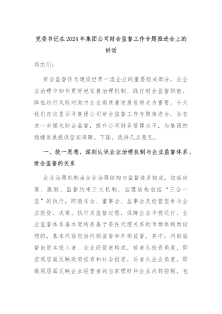 党委书记在2024年集团公司财会监督工作专题推进会上的讲话