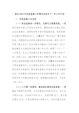 国企2024年纪检监察工作情况总结及下一步工作计划