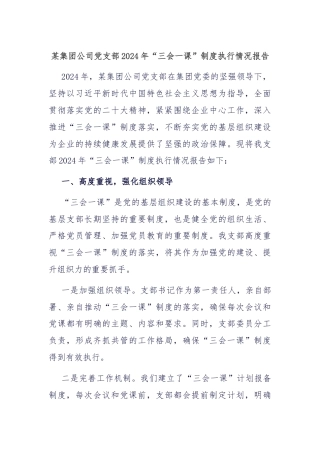 某集团公司党支部2024年“三会一课”制度执行情况报告