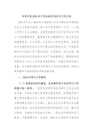 市审计局2024年工作总结和2025年工作计划