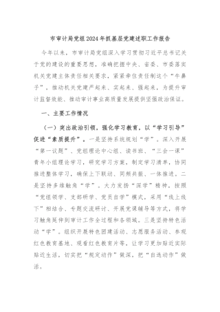 市审计局党组2024年抓基层党建述职工作报告
