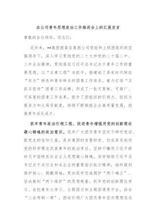 在公司青年思想政治工作推进会上的汇报发言