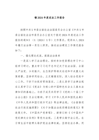 镇2024年度述法工作报告
