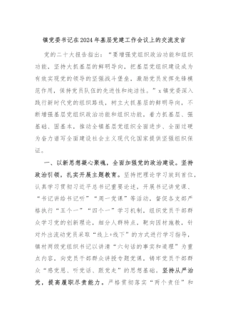 镇党委书记在2024年基层党建工作会议上的交流发言