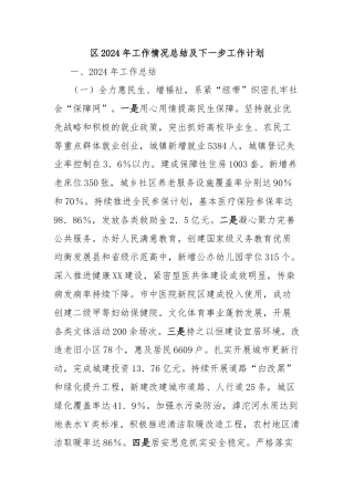区2024年工作情况总结及下一步工作计划