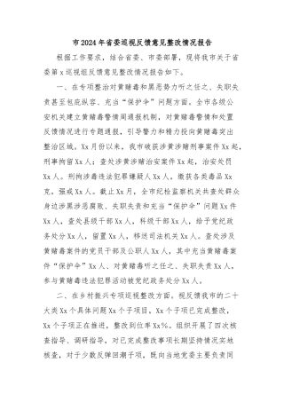 市2024年省委巡视反馈意见整改情况报告