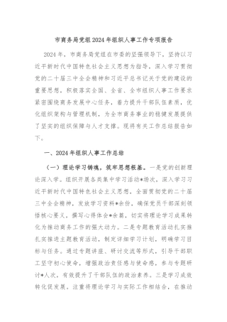 市商务局党组2024年组织人事工作专项报告