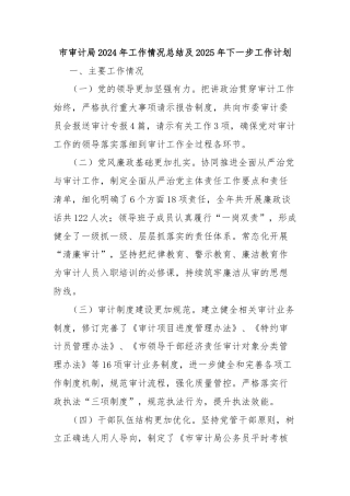 市审计局2024年工作情况总结及2025年下一步工作计划