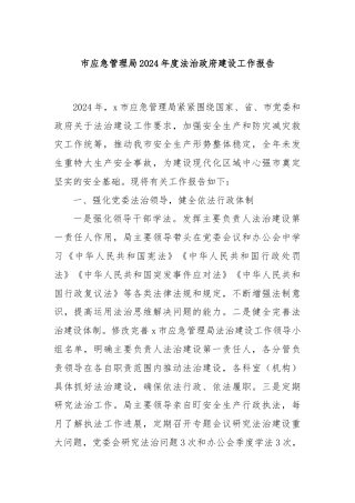 市应急管理局2024年度法治政府建设工作报告