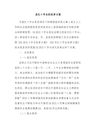 县红十字会的改革方案