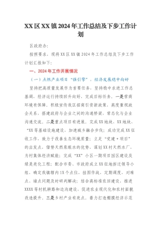 XX区XX镇2024年工作总结及下步工作计划