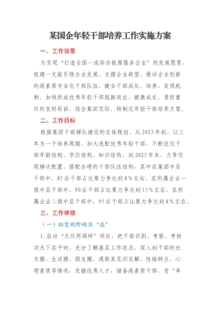 某国企年轻干部培养工作实施方案