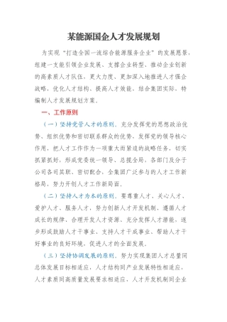 某能源国企人才发展规划