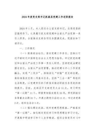 2024年度党支部书记抓基层党建工作述职报告