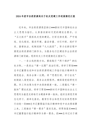 2024年度市自然资源局关于机关党建工作进展情况汇报