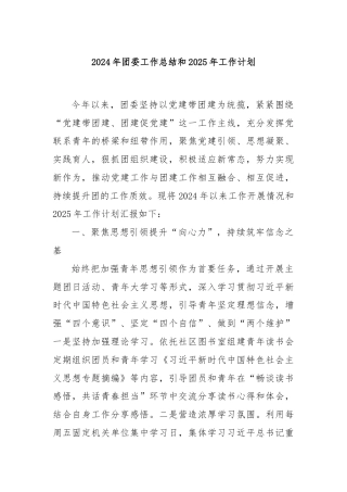 2024年团委工作总结和2025年工作计划