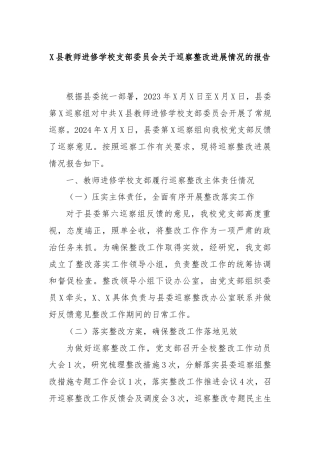 X县教师进修学校支部委员会关于巡察整改进展情况的报告