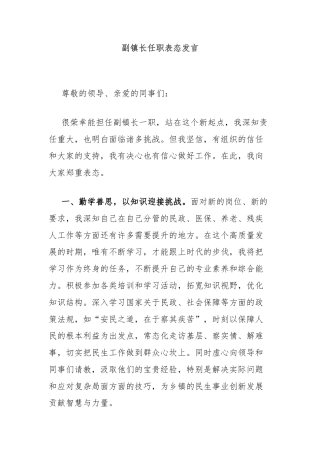 副镇长任职表态发言