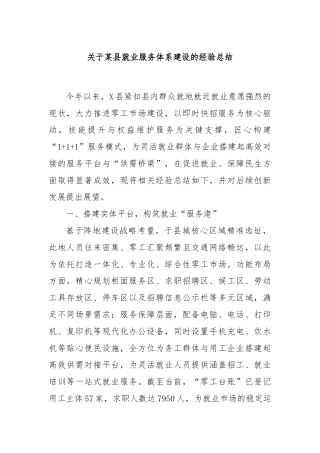 关于某县就业服务体系建设的经验总结