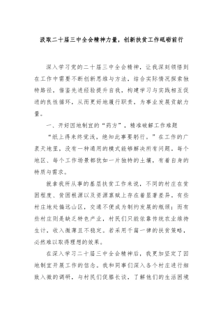 汲取二十届三中全会精神力量，创新扶贫工作砥砺前行