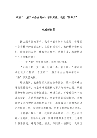 领悟二十届三中全会精神：培训赋能，践行“勤细正”，砥砺新征程