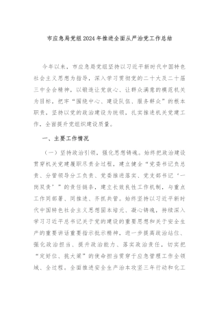 市应急局党组2024年推进全面从严治党工作总结