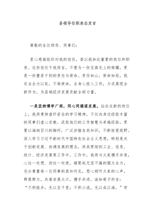 县领导任职表态发言