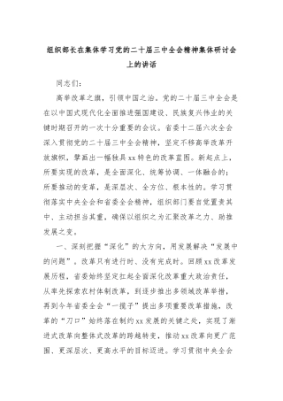 组织部长在集体学习党的二十届三中全会精神集体研讨会上的讲话
