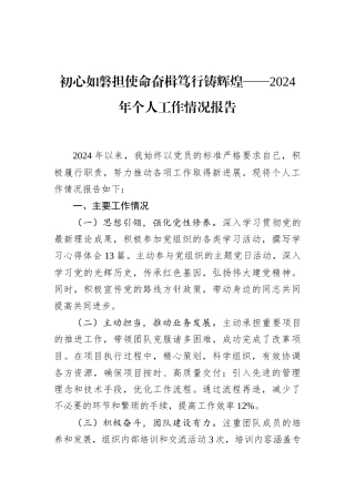 初心如磐担使命奋楫笃行铸辉煌——2024年个人工作情况报告