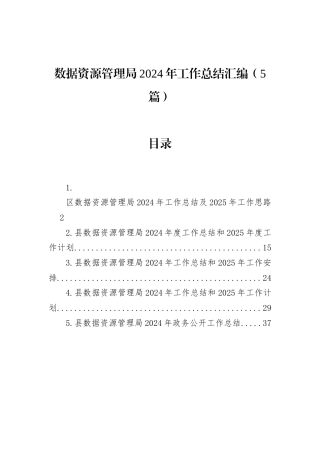 数据资源管理局2024年工作总结汇编（5篇）