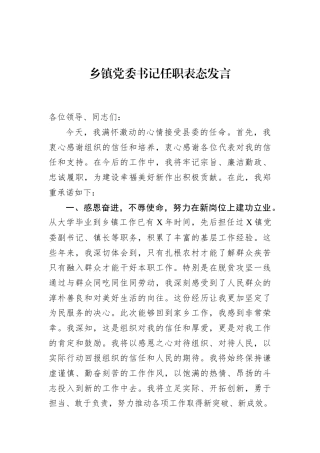 乡镇党委书记任职表态发言