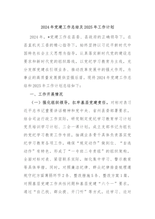2024年党建工作总结及2025年工作计划
