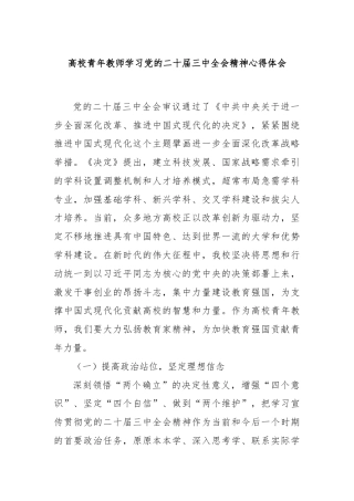 高校青年教师学习党的二十届三中全会精神心得体会