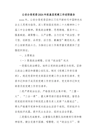 公安分局党委2024年抓基层党建工作述职报告