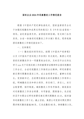 国有企业2024年巡察整改工作情况报告