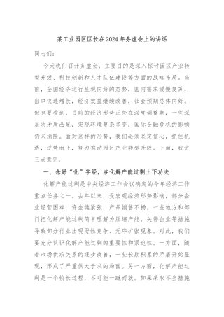 某工业园区区长在2024年务虚会上的讲话