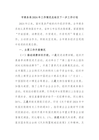 市商务局2024年工作情况总结及下一步工作计划