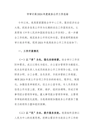 市审计局2024年度政务公开工作总结