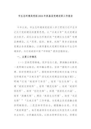 市生态环境局党组2024年抓基层党建述职工作报告