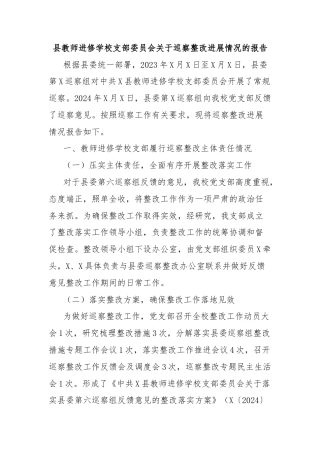 县教师进修学校支部委员会关于巡察整改进展情况的报告