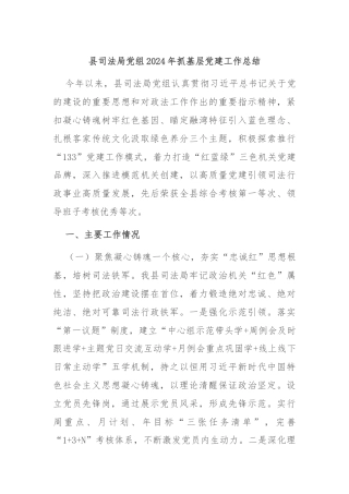 县司法局党组2024年抓基层党建工作总结