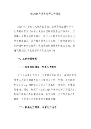 镇2024年政务公开工作总结